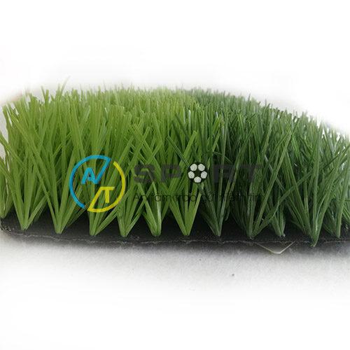 CỎ SÂN BÓNG AF581601S2